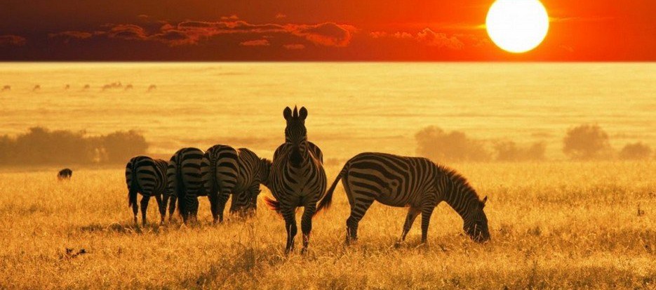 sun of south africa safari and tour